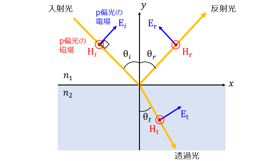 p偏光のフレネルの公式の導出